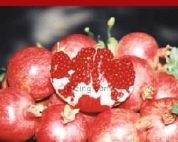 Global B2B directory Global trade lead